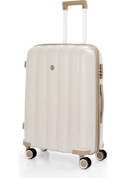 Mçs V305 kemik şampanya 3 lü set